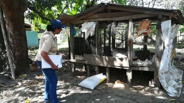 Minsa encuentra ‘factores de riesgo’ en el distrito de Tonosí