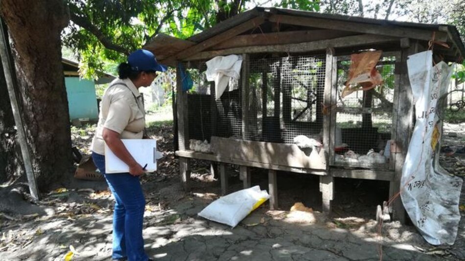 Minsa encuentra ‘factores de riesgo’ en el distrito de Tonosí