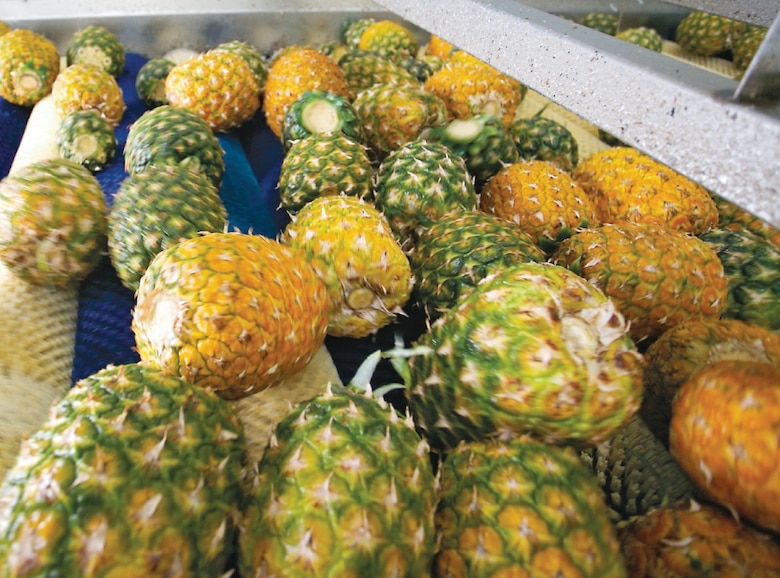 La piña panameña: el secreto tropical más dulce del mundo