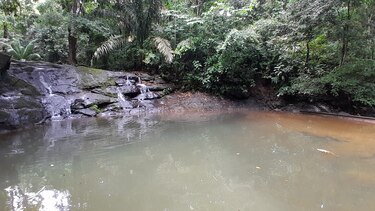 El corazón de la naturaleza a pocos minutos de la ciudad