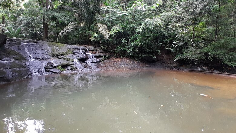 El corazón de la naturaleza a pocos minutos de la ciudad