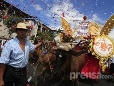 Concurrida participación en los desfiles del 10 de noviembre