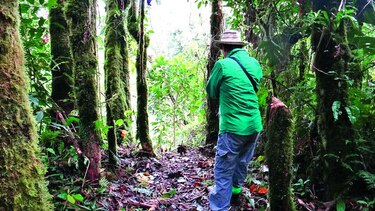 Denuncian daño ambiental en el PILA