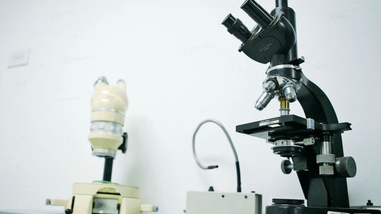 El valor de una colección zoológica