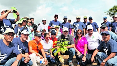 Jornada de reforestación