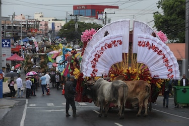 La Chorrera disfruta del desfile del 10 de noviembre