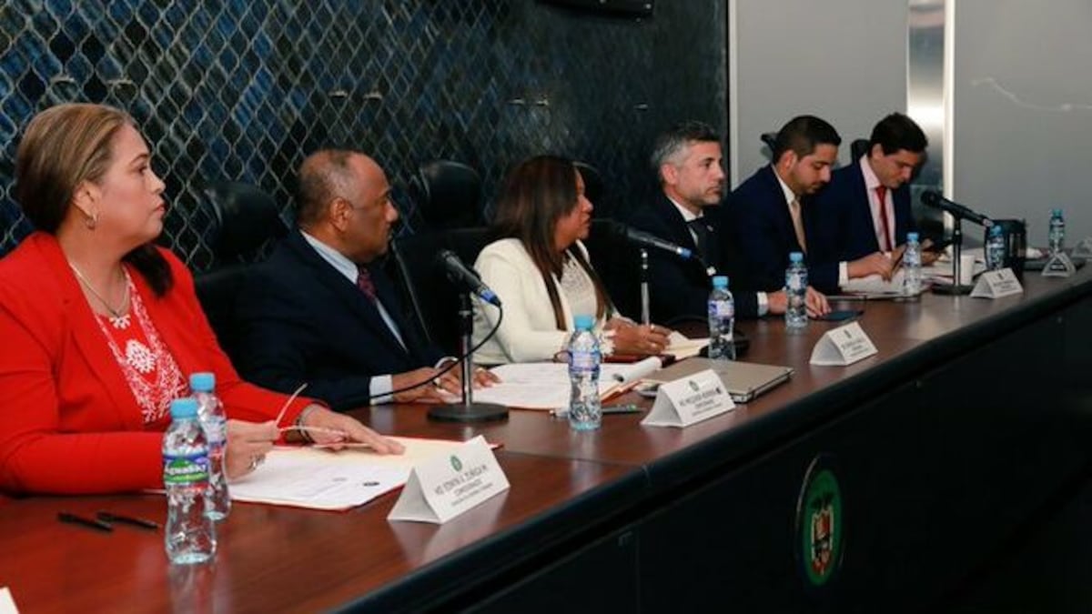 Discusión en primer debate del proyecto.