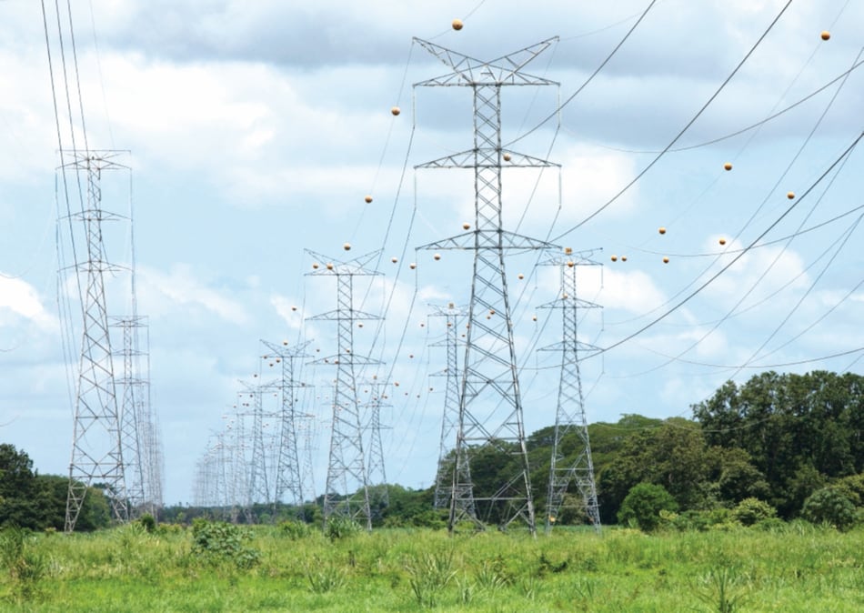 Línea de transmisión pasará por dos áreas protegidas