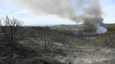 Mejora la situación de los incendios en Francia