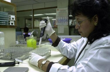 Nicaragua reporta dos casos nuevos del virus chikungunya