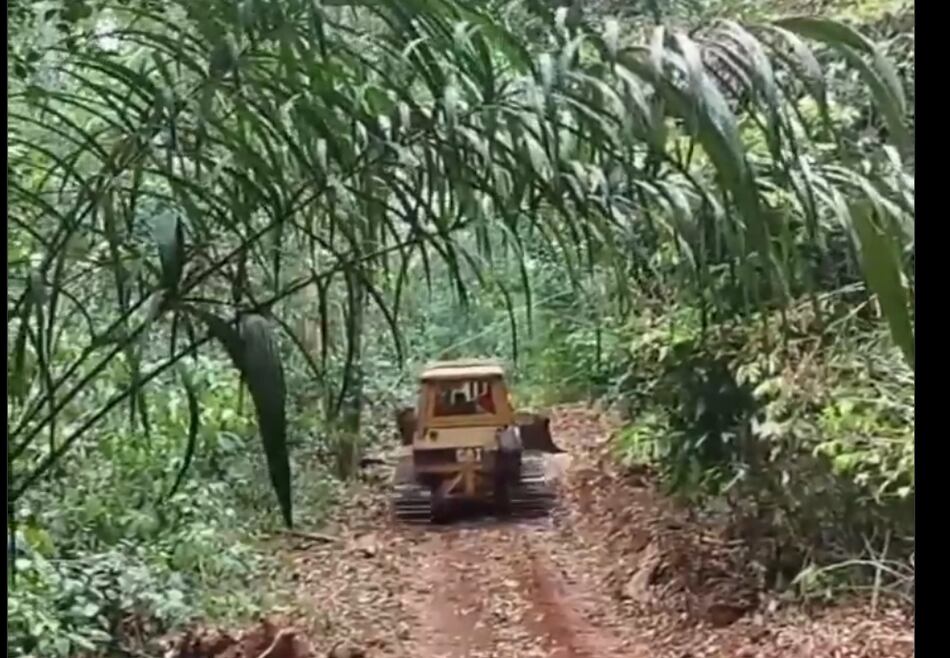 Presencia no deseada: tractor en la Reserva Natural Punta Patiño, Darién