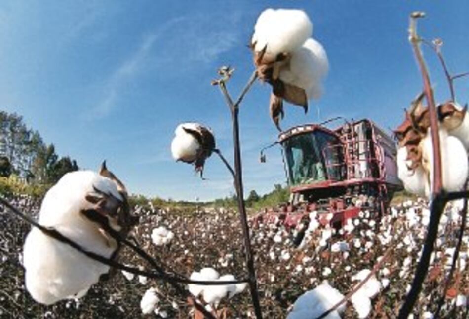 Brasil pide sanción para EU