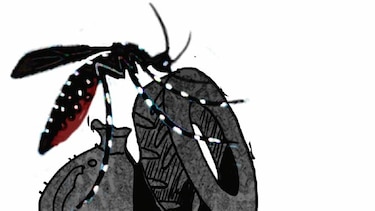 ¿Por qué eliminar los criaderos?