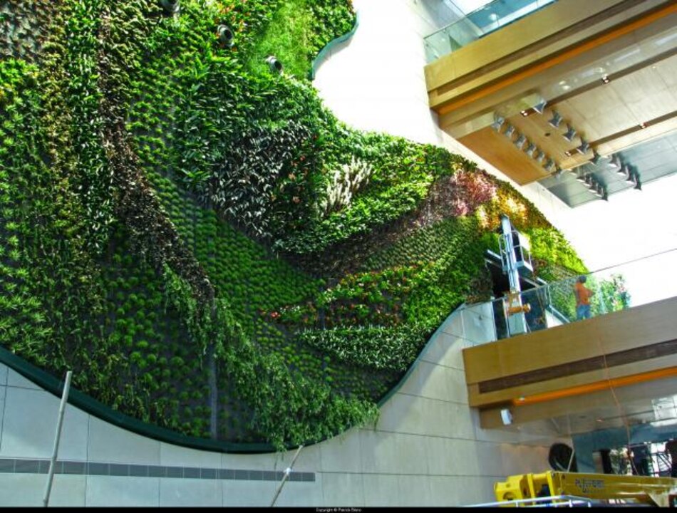 Un jardín en la pared