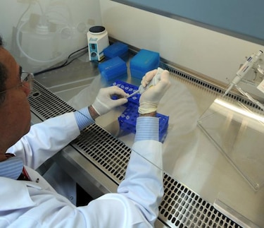 Estudio arroja luces para desarrollo de tratamientos contra cáncer de cérvix