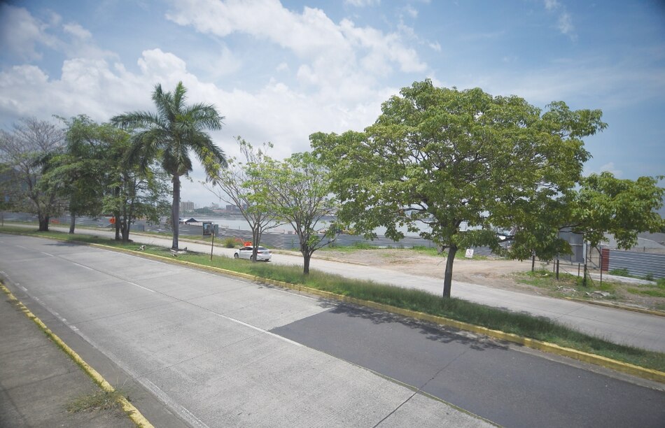 El estudio ambiental del relleno de 50 hectáreas en Amador no debió ser admitido: Raisa Banfield