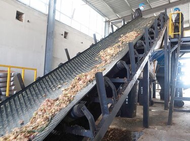 Las cucarachas que ‘trabajan’ comiendo basura