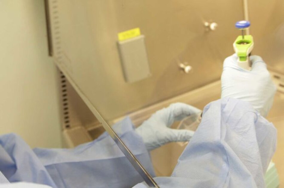 Ministerio de Salud confirma muerte de dos menores por rickettsiosis