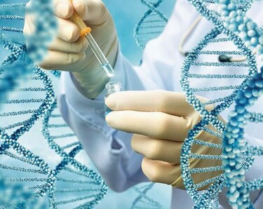 La medicina más exacta