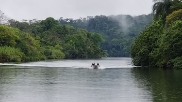Navegando el río de los Lagartos