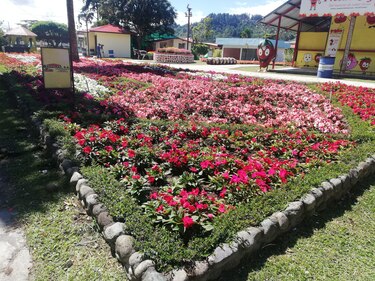 Feria de las Flores y del Café inyecta 12 millones de dólares a la economía regional