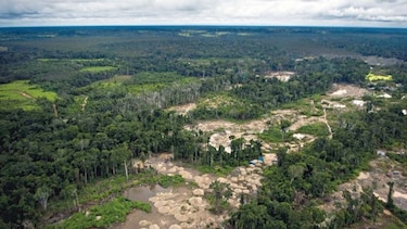 Miles de turistas llegan a la selva amazónica
