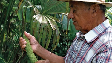 Dos maestros del sombrero pintao de La Pintada