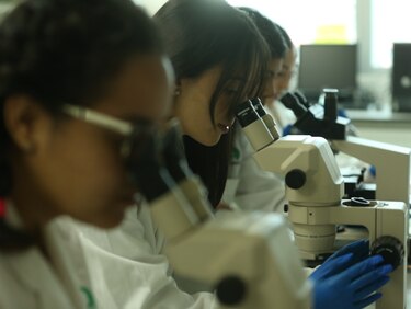 Falta de laboratorios, un obstáculo en la educación científica de las escuelas