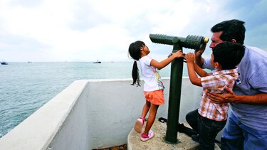 Maravillas del trópico