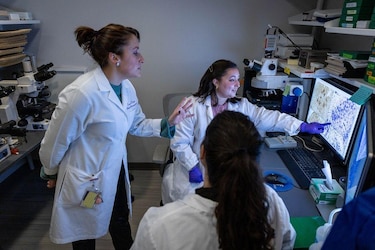 Cómo son los cerebros de los ‘superancianos’