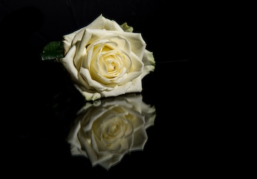 Descansa en paz Norma Mercedes López Velarde de Henríquez