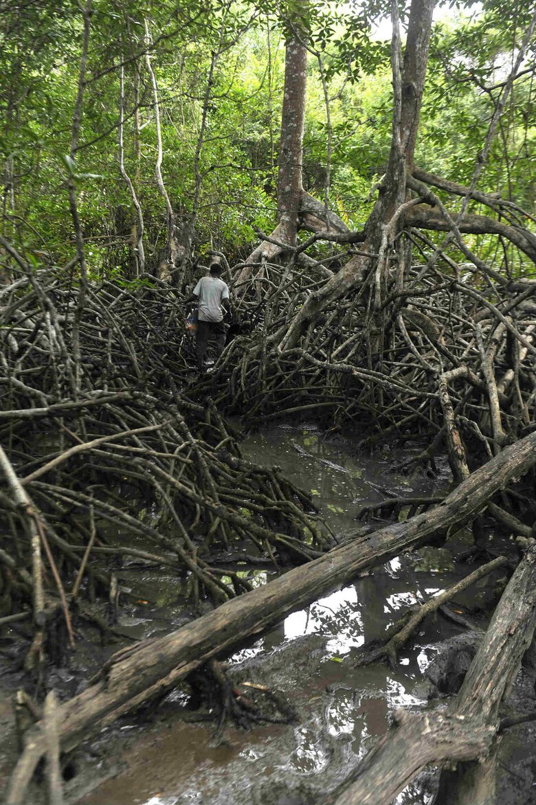 35 horas para llegar al pozo petrolero en Darién