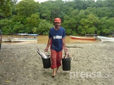 Pescadores denuncian problemas para desambarcar mariscos