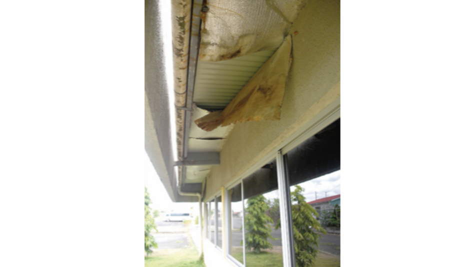 Meduca: Un 78% de las escuelas está listo