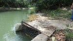 Bajo caudal del río Zaratí pone en aprietos a penonomeños