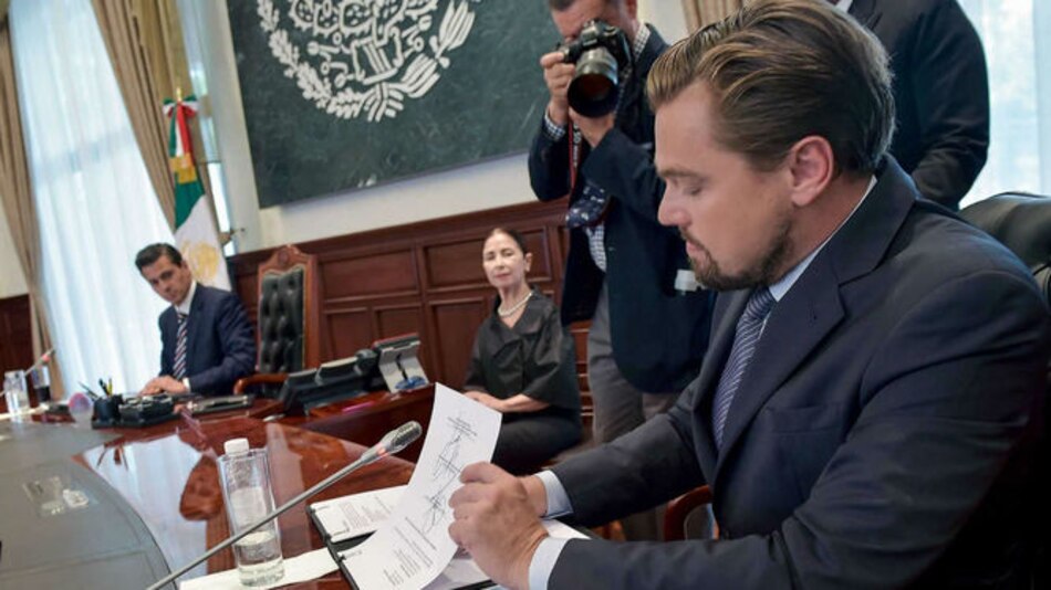 México, DiCaprio y Slim se unen para salvar a vaquita marina