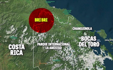Pueblo Bri Bri denuncia tala e invasión de tierras protegidas