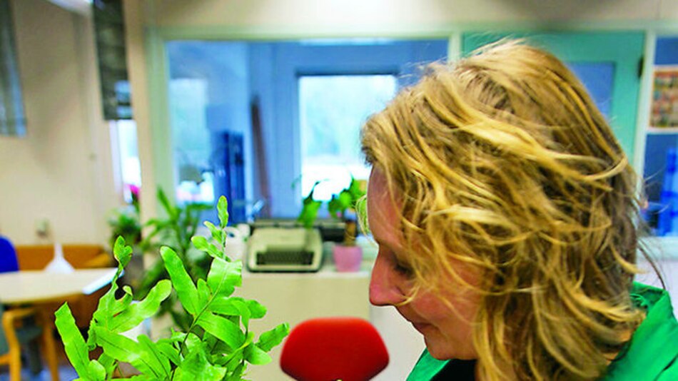 Plantas que generan corriente