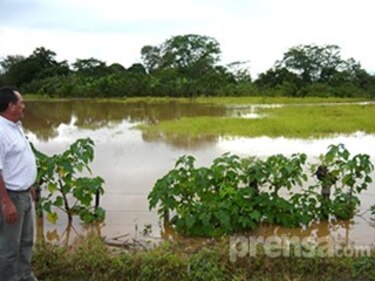 Inundaciones afectan a 250 viviendas en todo el país