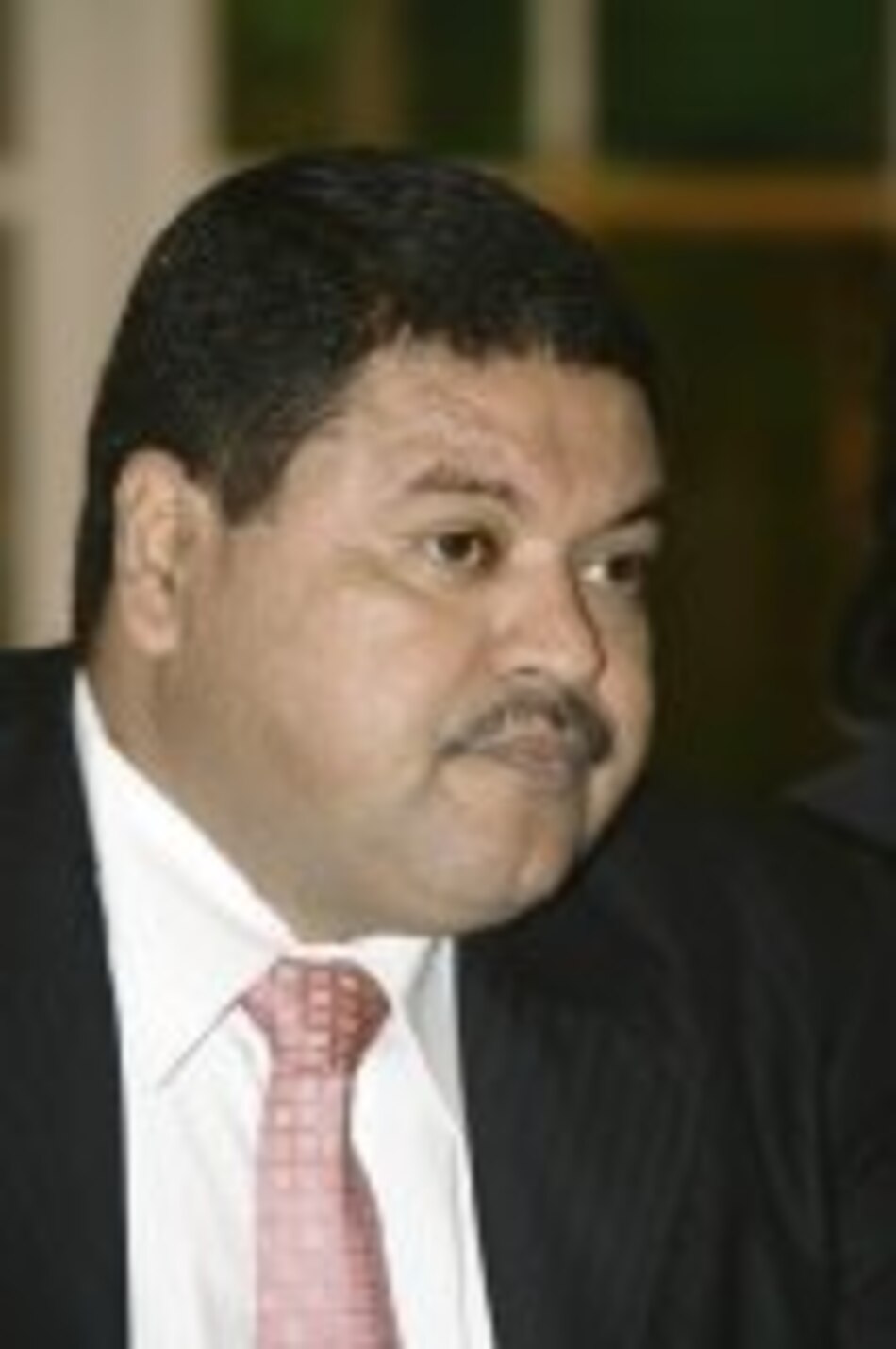 Licitarán 15 megavatios para 2008