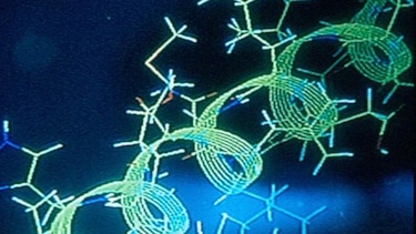OMS aprueba una resolución histórica para impulsar lucha contra la malaria