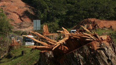 Panamá y su crisis ambiental