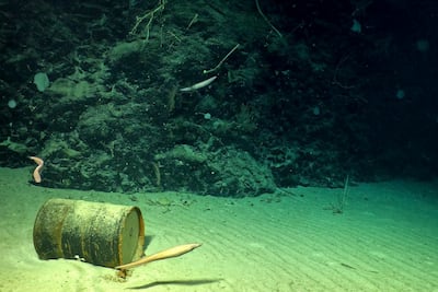 Investigan residuos radiactivos depositados en el océano en los años 40