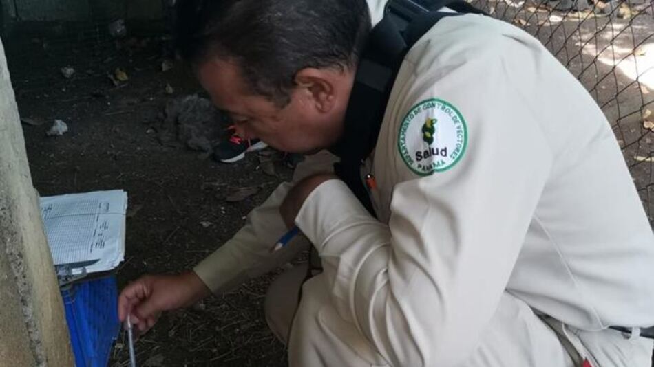 Detectan dos nuevos casos de virus hanta en Los Santos