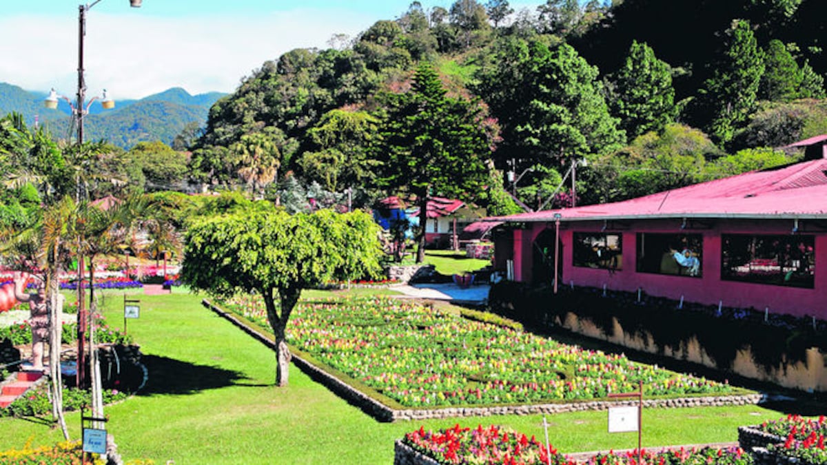 Aunque la feria tiene una fecha establecida, la exhibición de plantas y flores está abierta durante todo el año para los visitantes.
