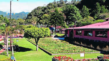 Boquete, flores y café