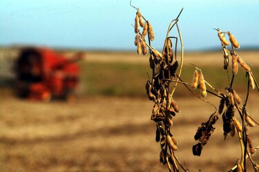 América Latina se reúne para combatir impacto del cambio climático en la región