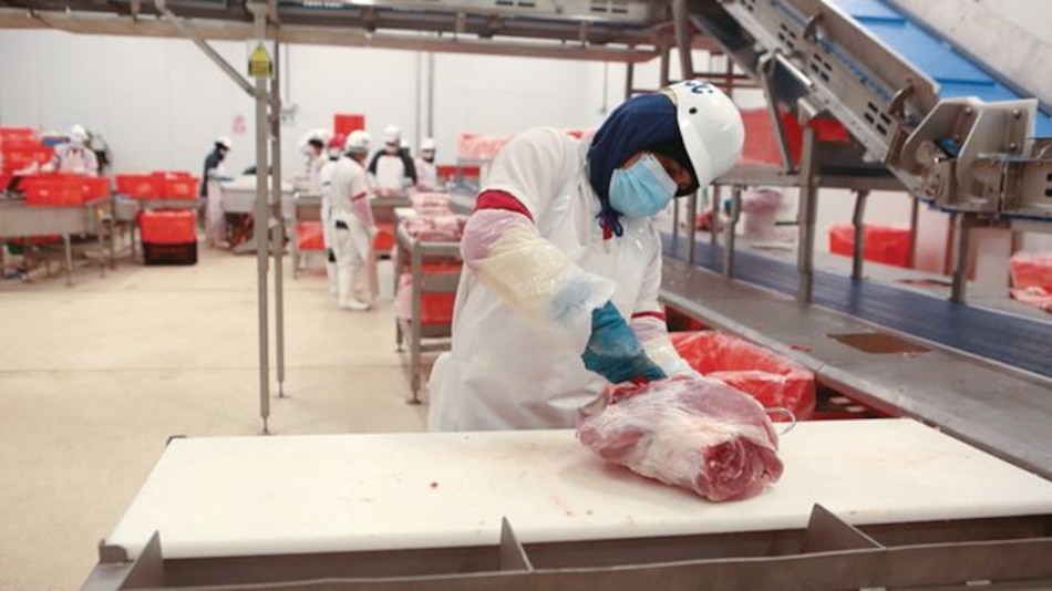 Cambios en el Grupo Rey: inauguran dos nuevas plantas