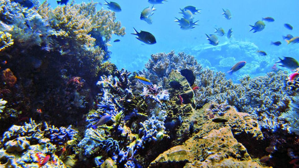 Cambio climático, desarrollo y resiliencia