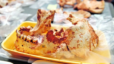 Huellas del pasado en Cerro Juan Díaz